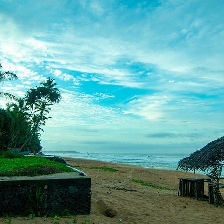 Hikkaduwa Backyard Beach Homestay Galle Extérieur photo