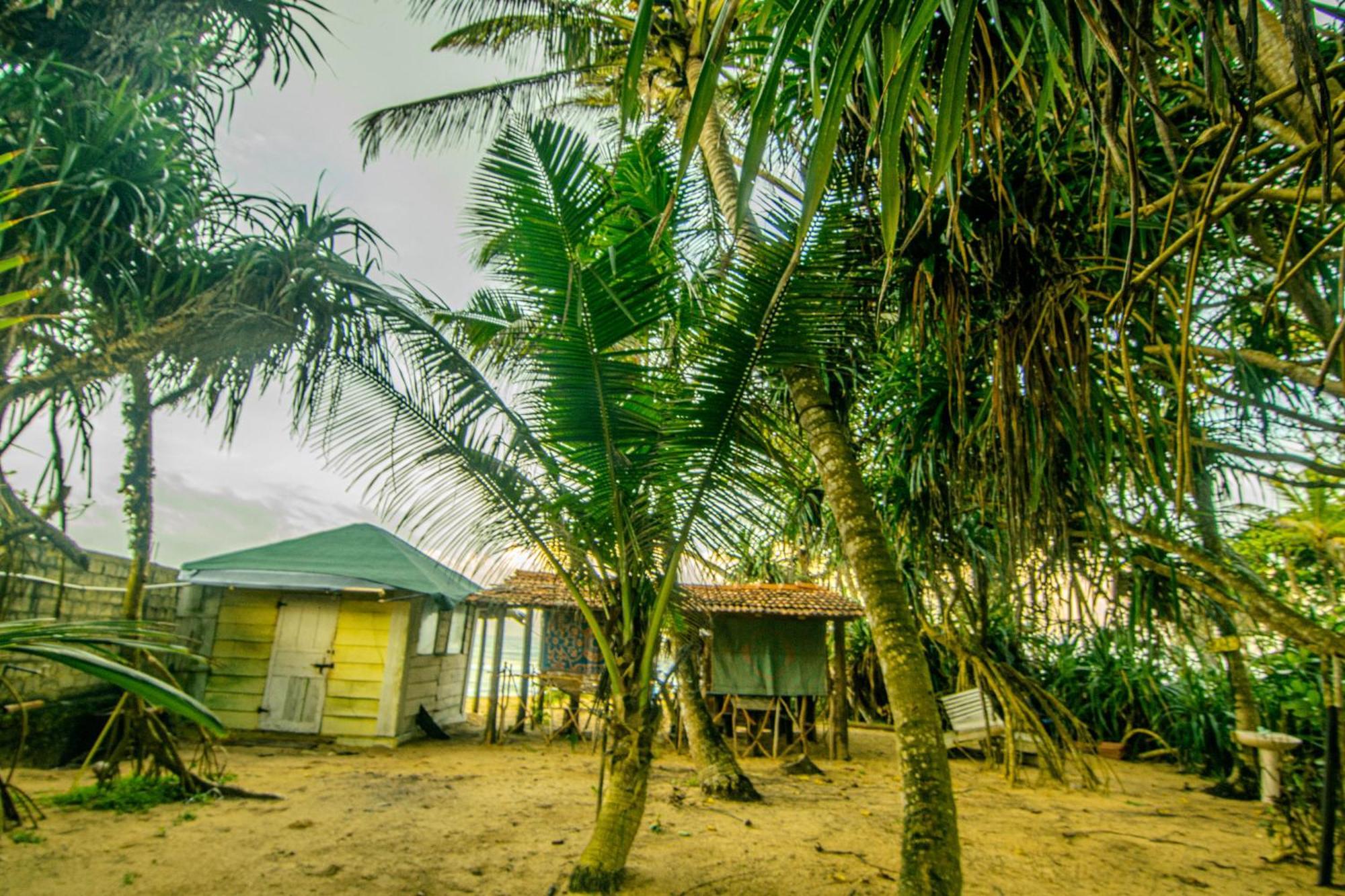 Hikkaduwa Backyard Beach Homestay Galle Extérieur photo