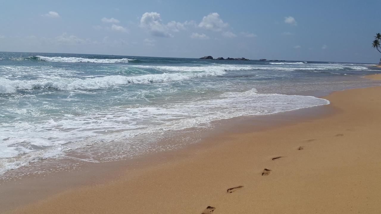 Hikkaduwa Backyard Beach Homestay Galle Extérieur photo