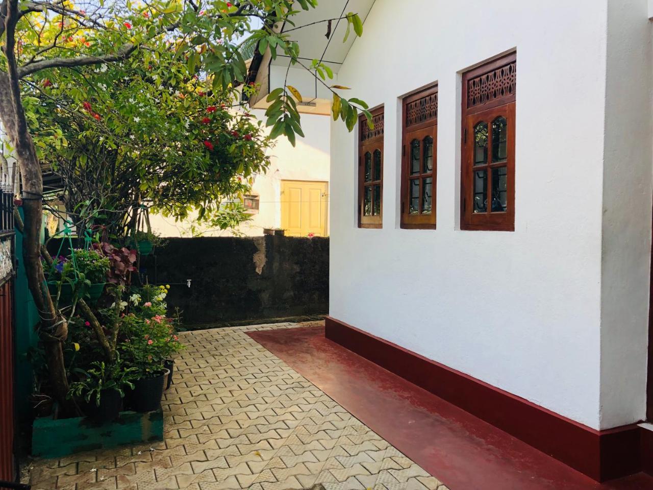 Hikkaduwa Backyard Beach Homestay Galle Extérieur photo