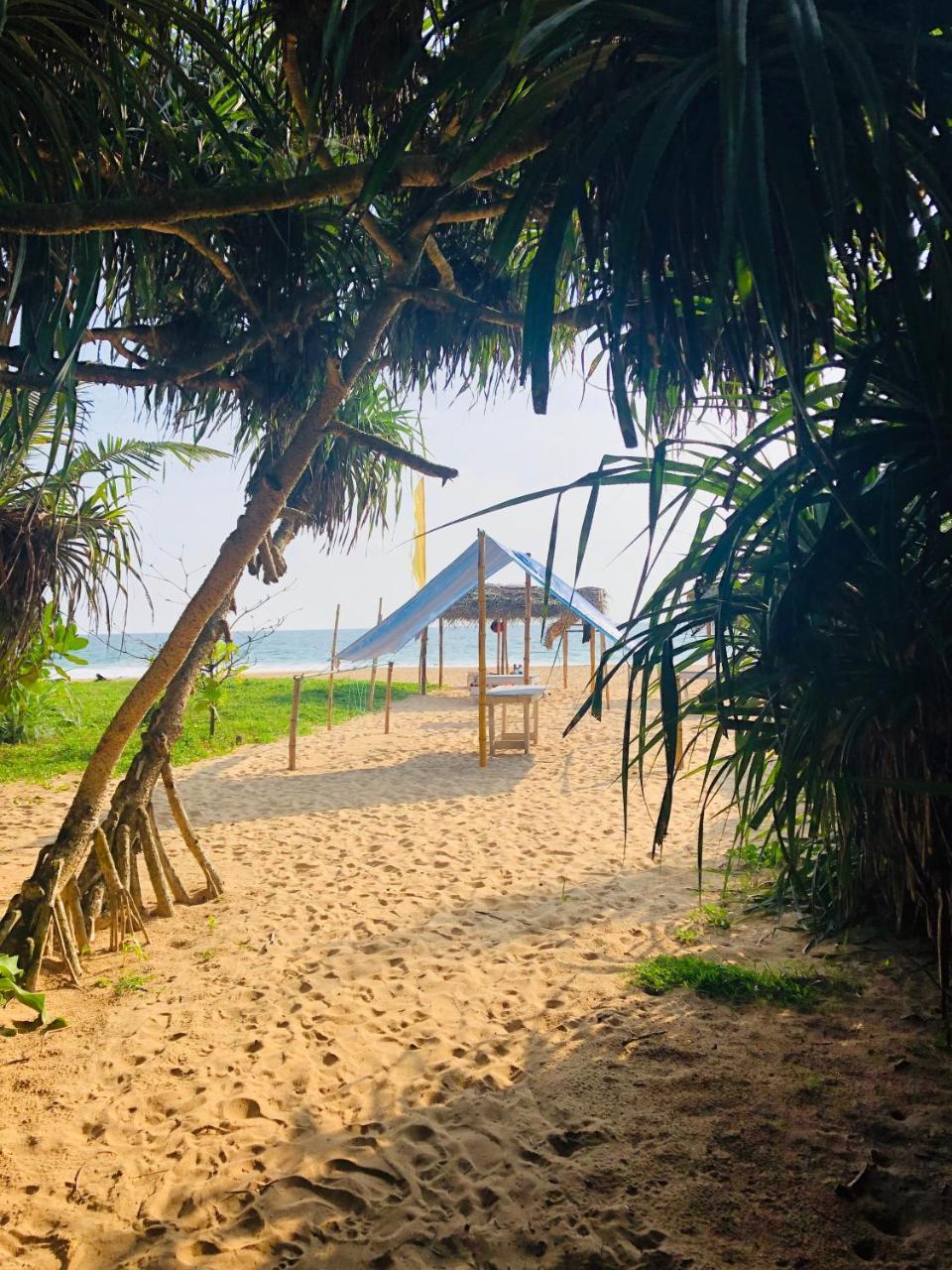 Hikkaduwa Backyard Beach Homestay Galle Extérieur photo