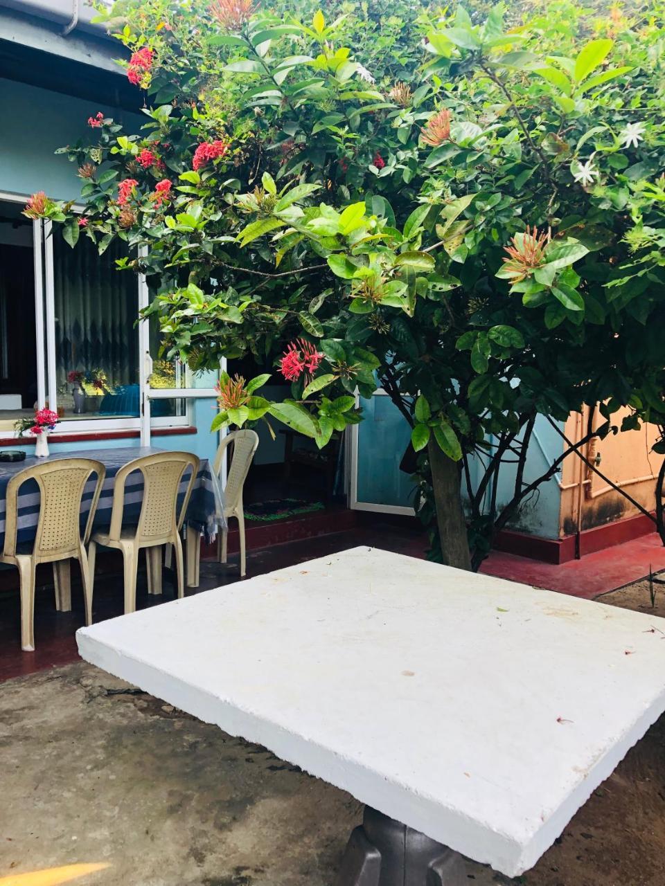 Hikkaduwa Backyard Beach Homestay Galle Extérieur photo