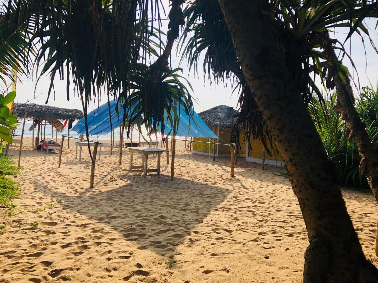 Hikkaduwa Backyard Beach Homestay Galle Extérieur photo
