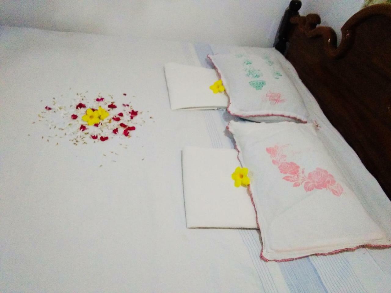 Hikkaduwa Backyard Beach Homestay Galle Extérieur photo