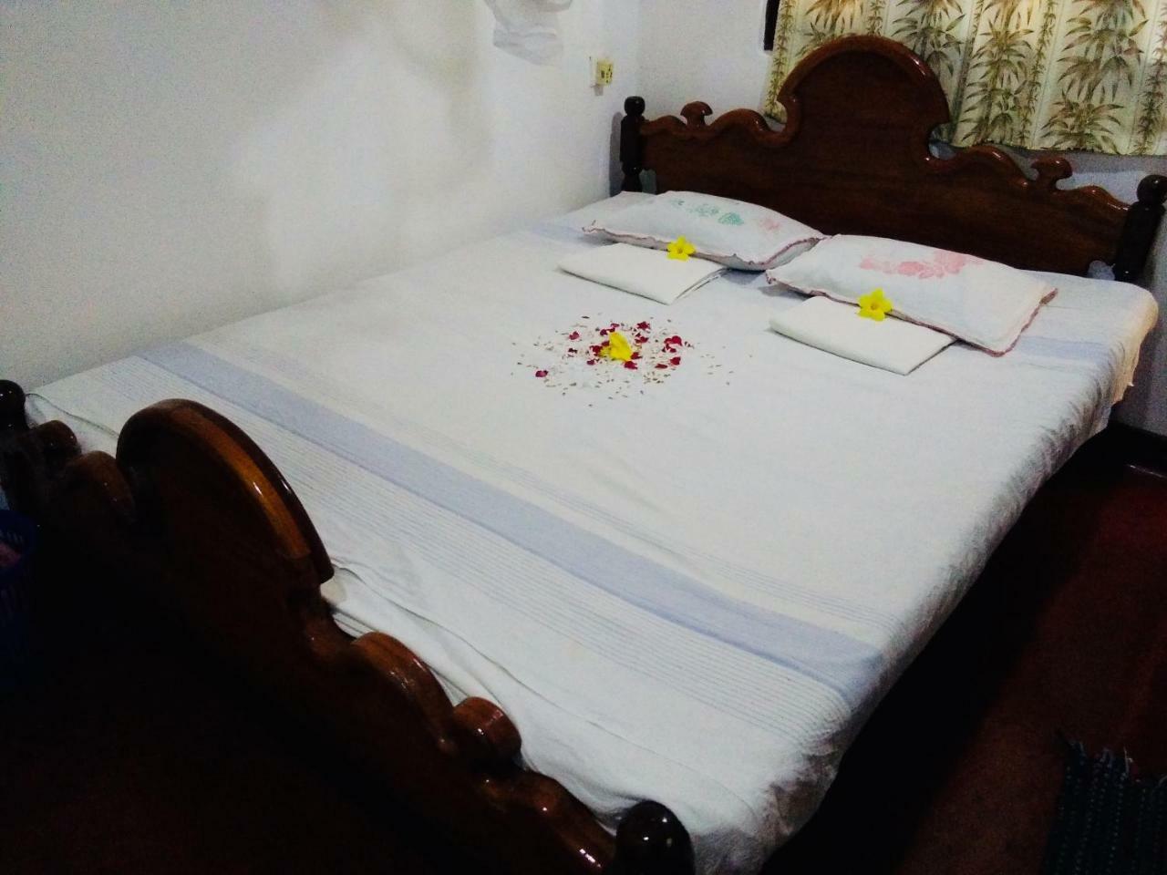 Hikkaduwa Backyard Beach Homestay Galle Extérieur photo