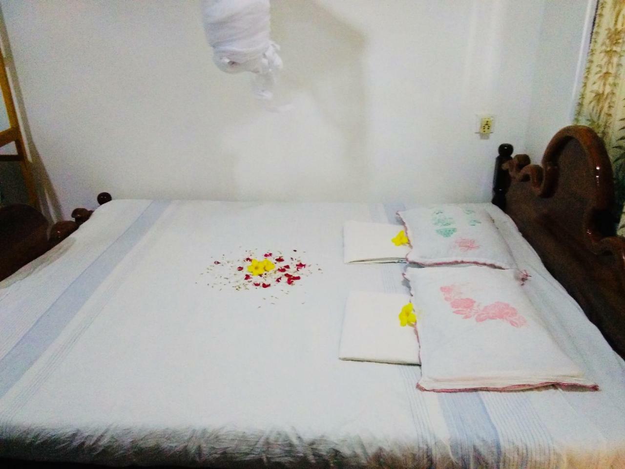 Hikkaduwa Backyard Beach Homestay Galle Extérieur photo