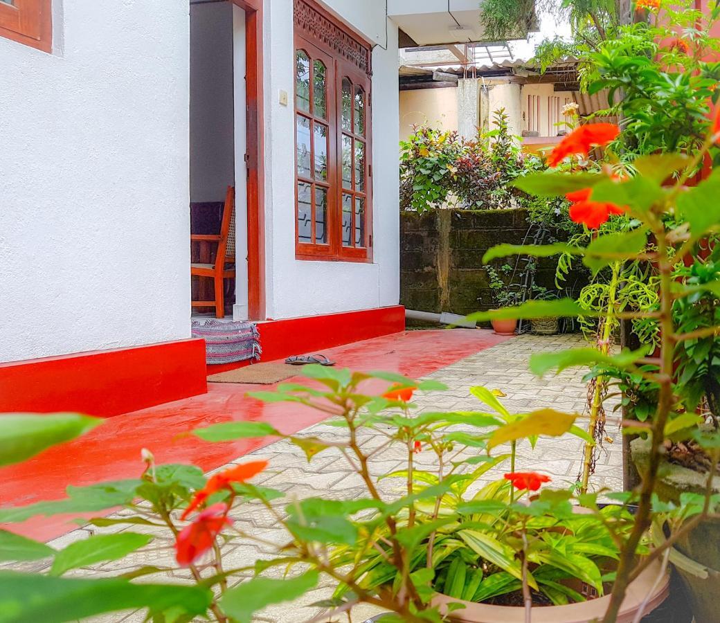 Hikkaduwa Backyard Beach Homestay Galle Extérieur photo