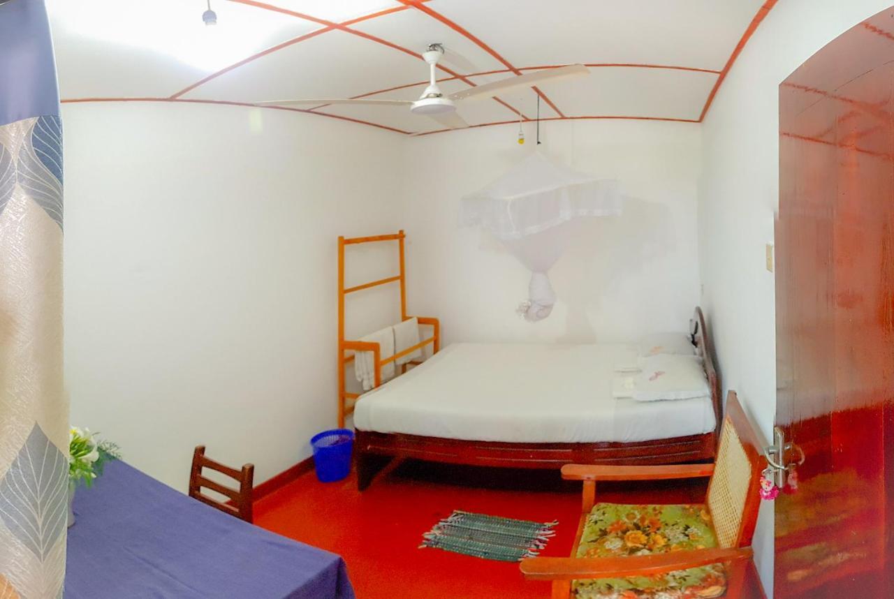 Hikkaduwa Backyard Beach Homestay Galle Extérieur photo