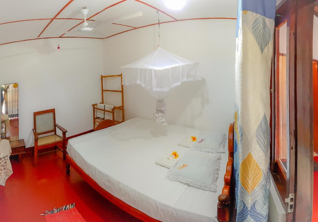 Hikkaduwa Backyard Beach Homestay Galle Extérieur photo