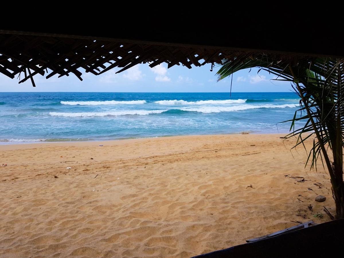 Hikkaduwa Backyard Beach Homestay Galle Extérieur photo
