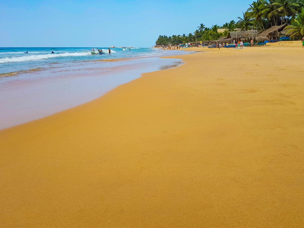 Hikkaduwa Backyard Beach Homestay Galle Extérieur photo