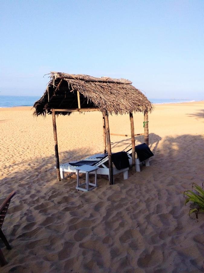 Hikkaduwa Backyard Beach Homestay Galle Extérieur photo